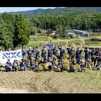 NOKの稲刈りイベント