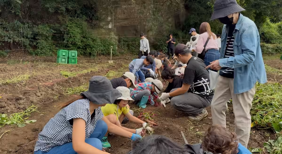 画像7