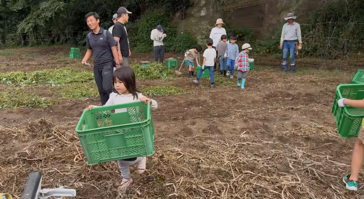 画像6