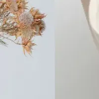 ロンハーマンの秋冬アイテム