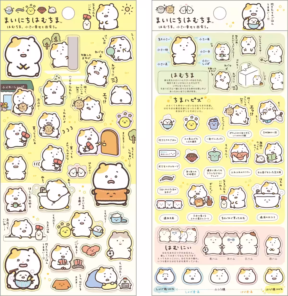画像8