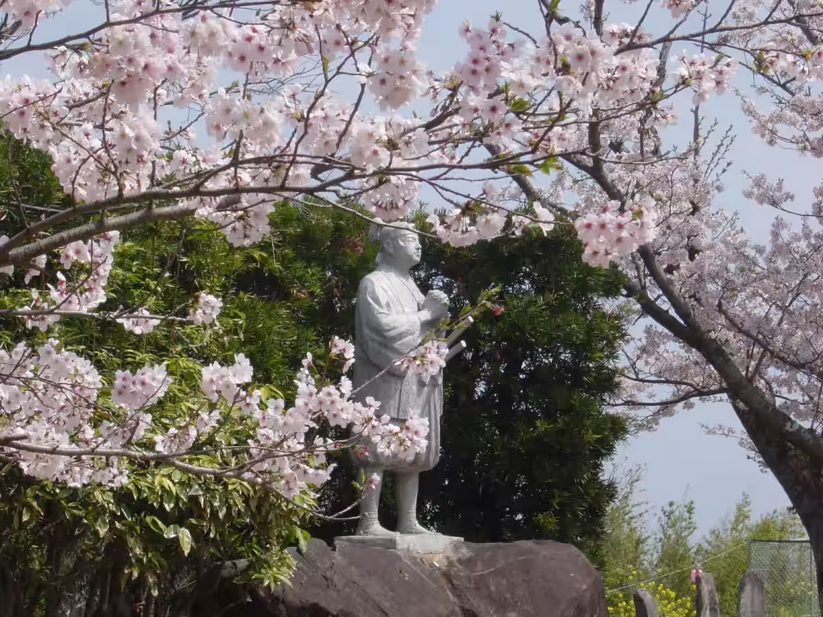 画像4