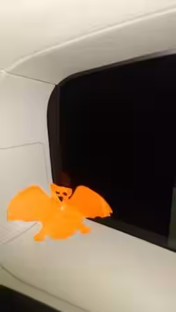 画像7