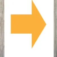 新ダイエット法