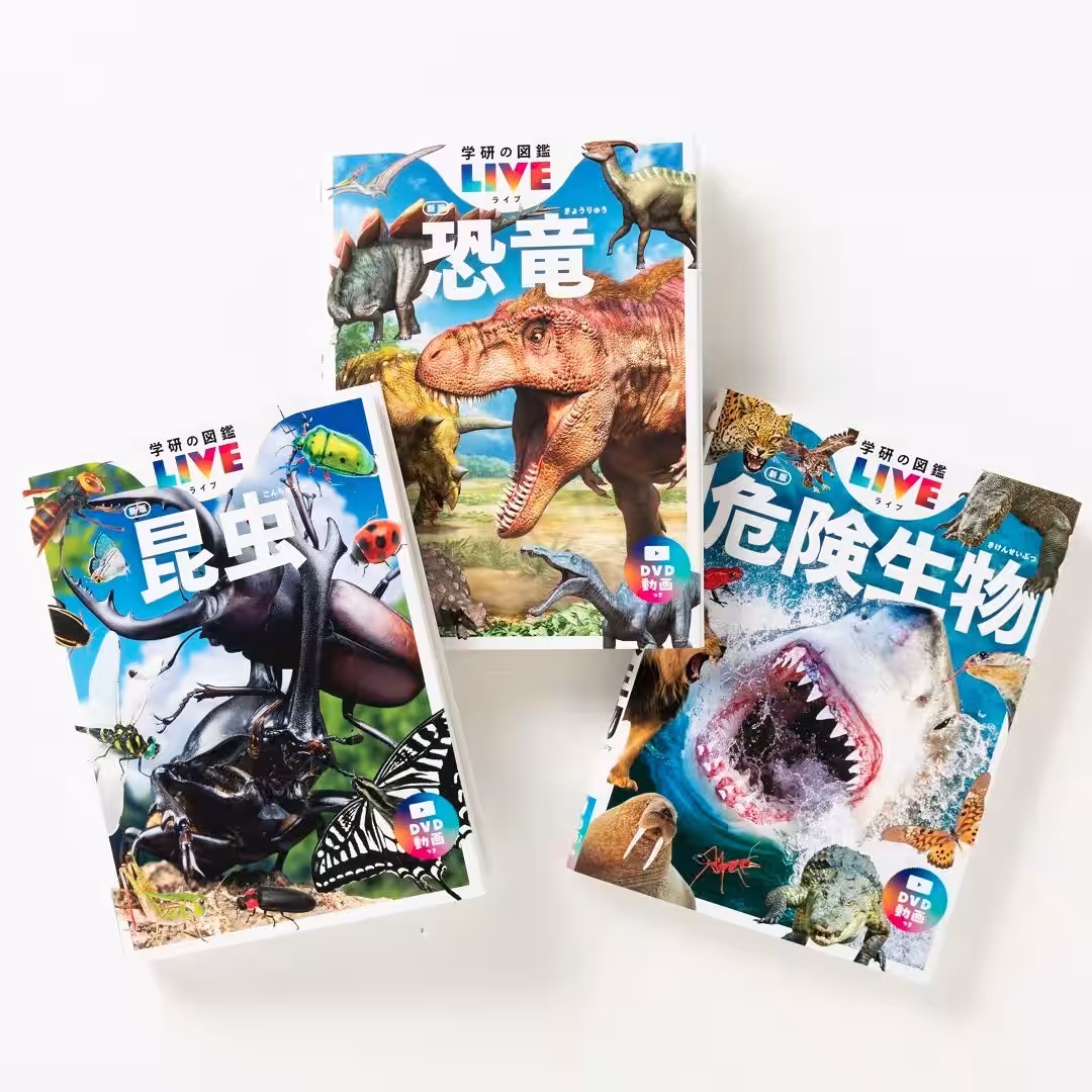 画像2