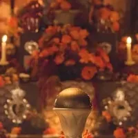 クラセアスールの新作