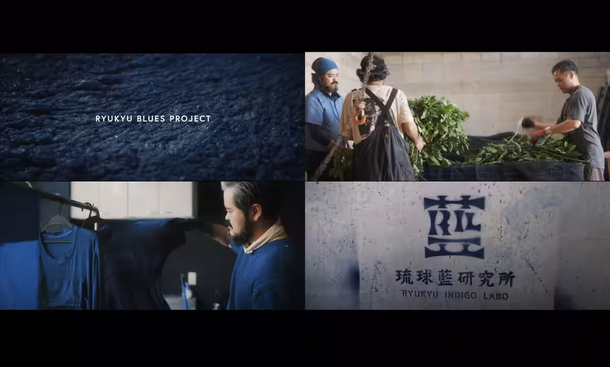 画像7