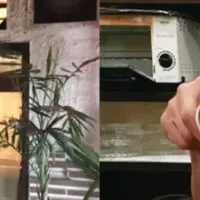 喫茶店文化とサステナビリティ