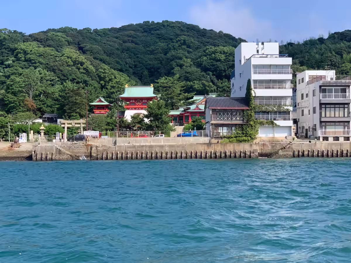 画像7