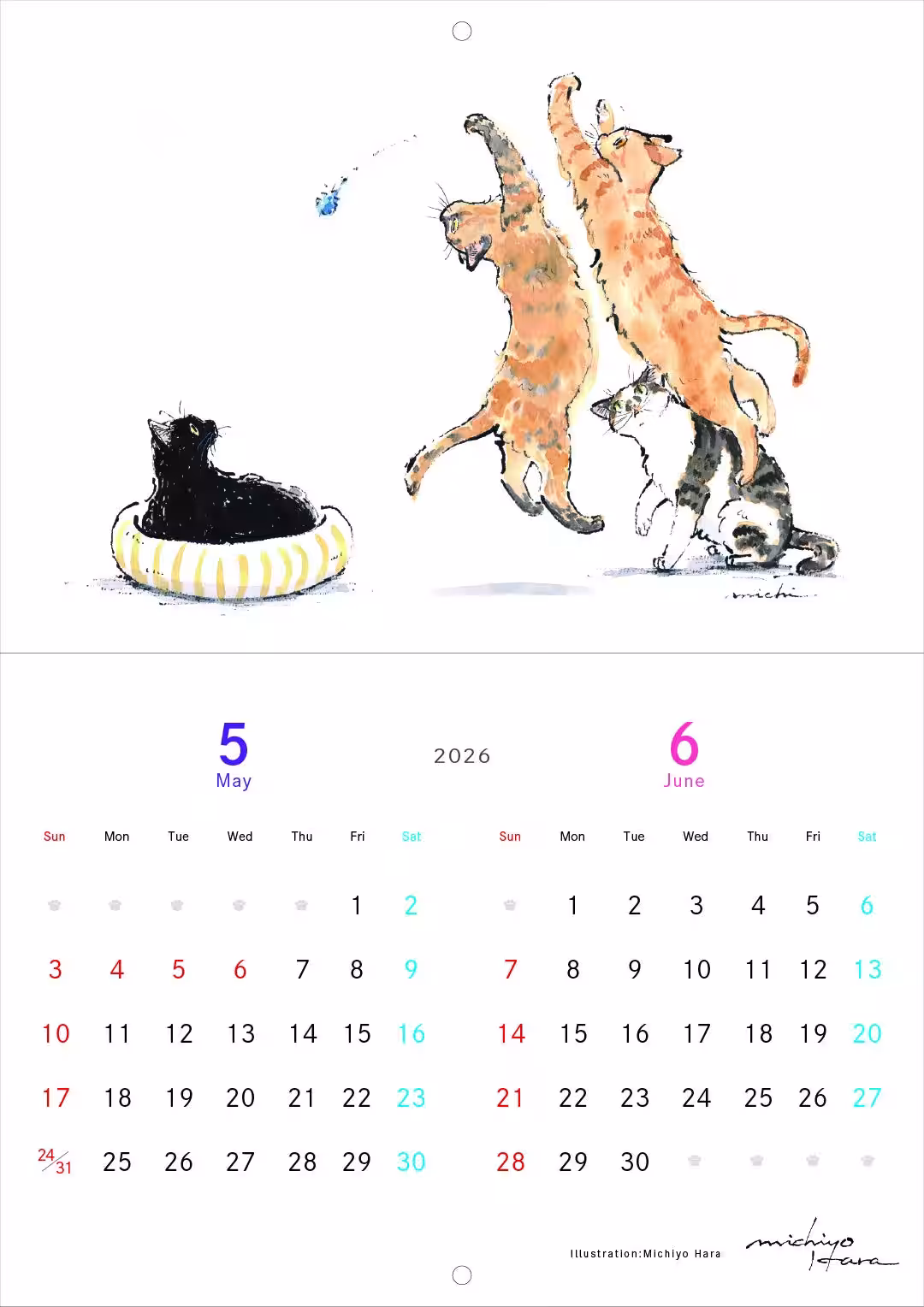 画像25