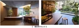 画像12