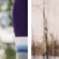 Feeturesの新色登場！