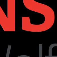 NSV Wolf Capitalの進展