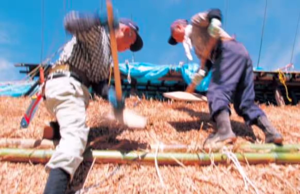 画像14