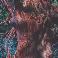 ソニーのサステナビリティ新書