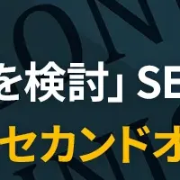 SEO Outsourcing Concerns