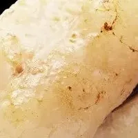 秋冬の宴会プラン