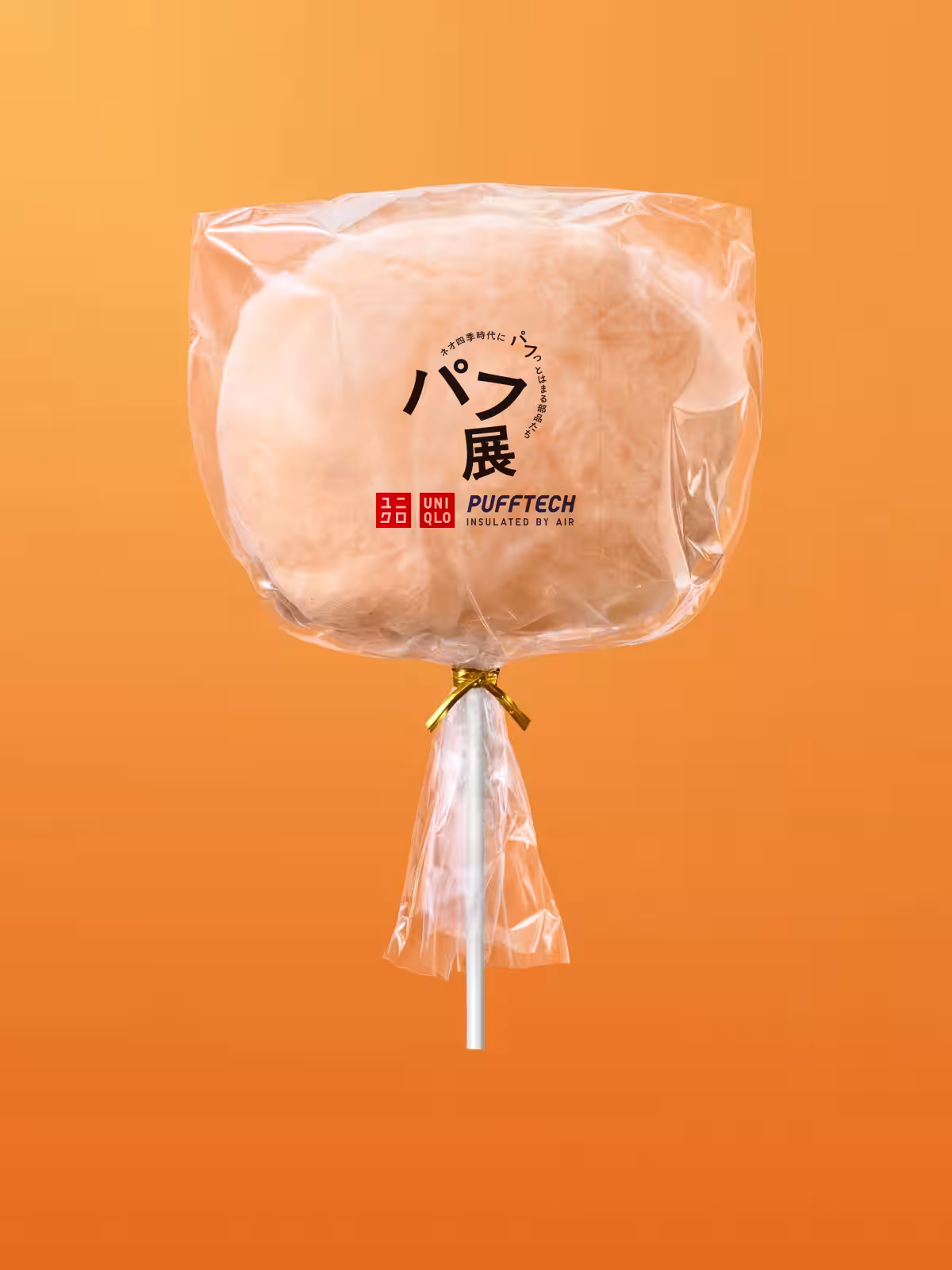 画像14