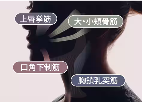 画像14