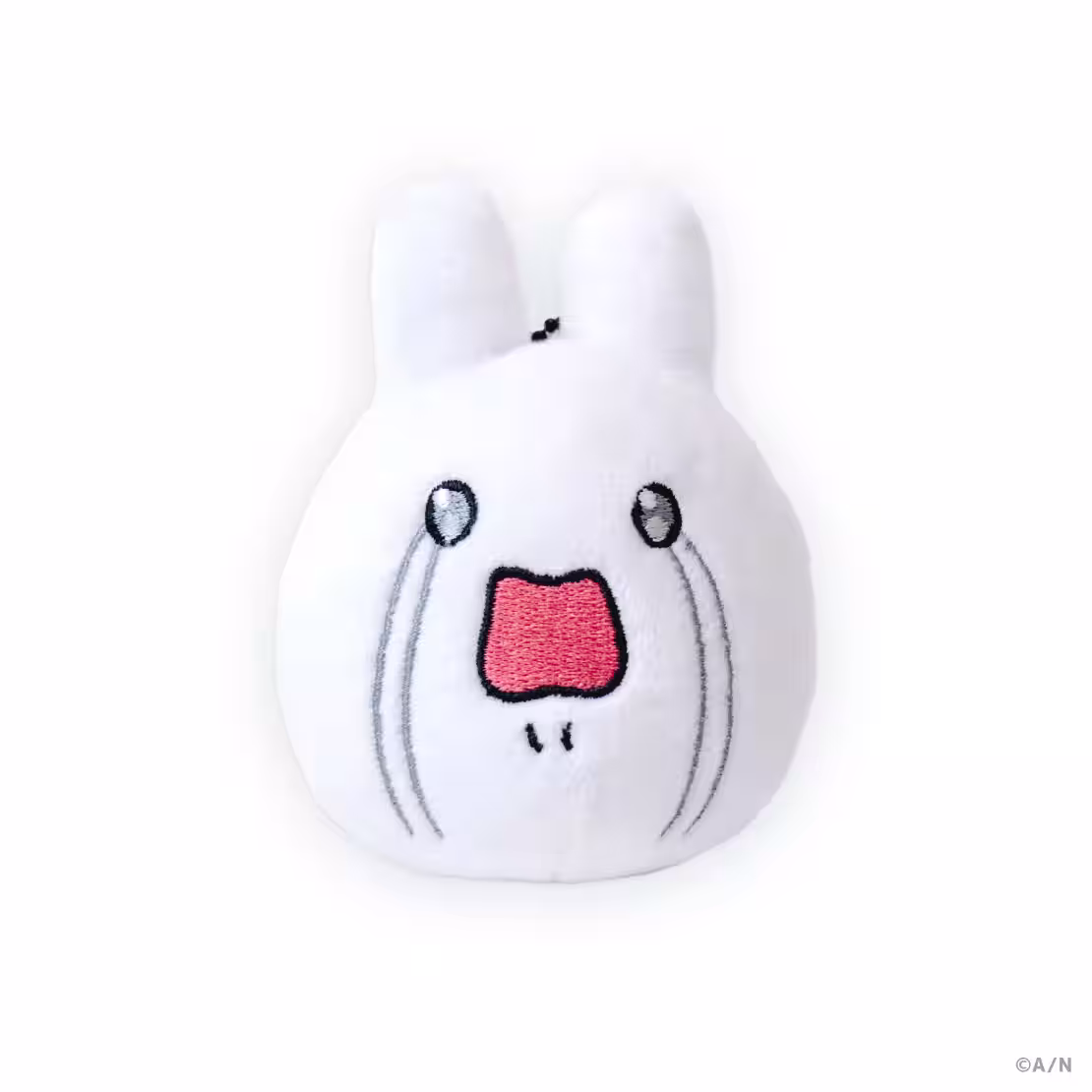 画像14