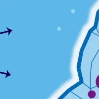 品質不正防止プログラム