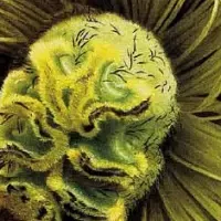 ハーパーズ バザー アート特集