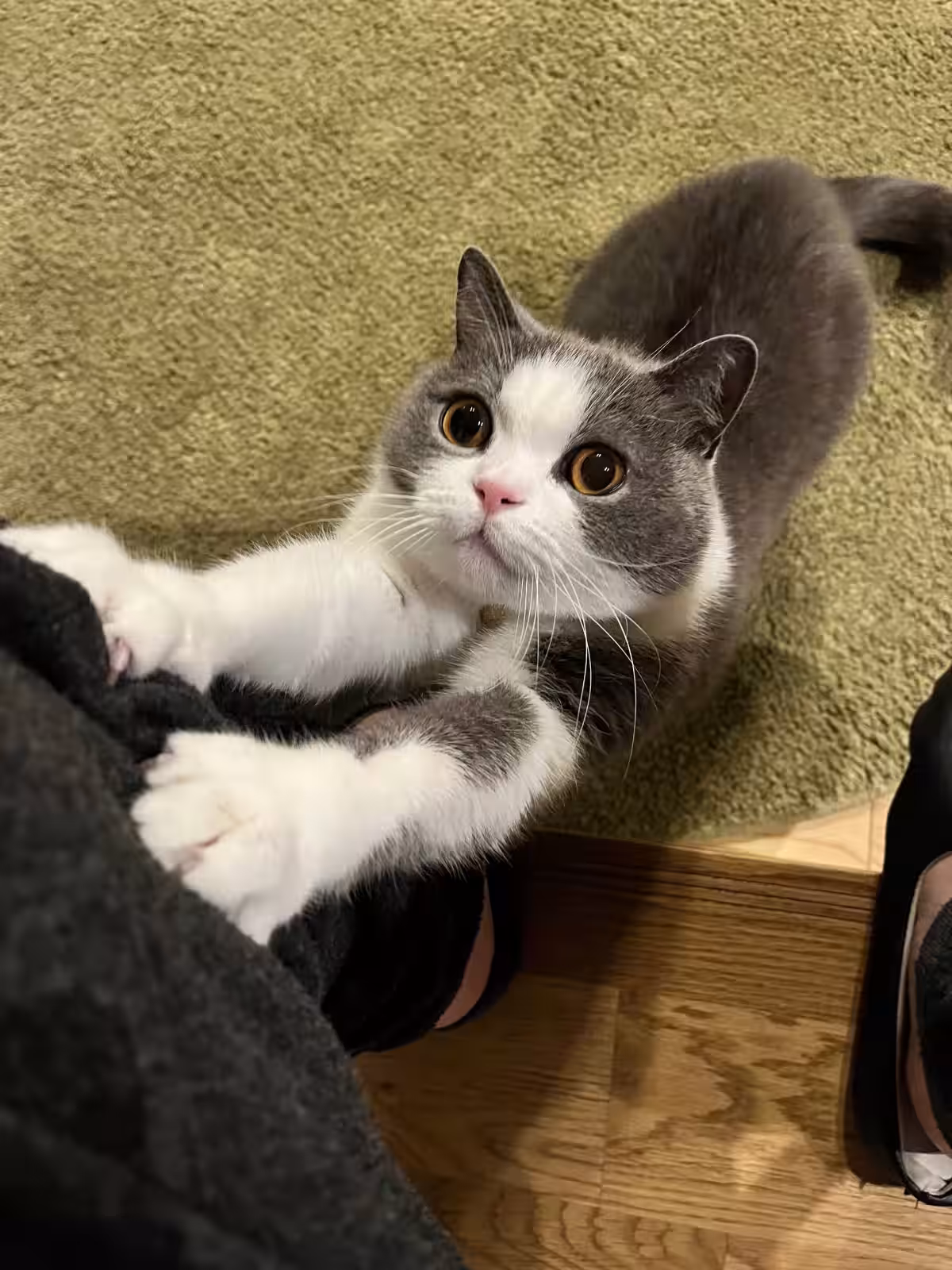 画像7