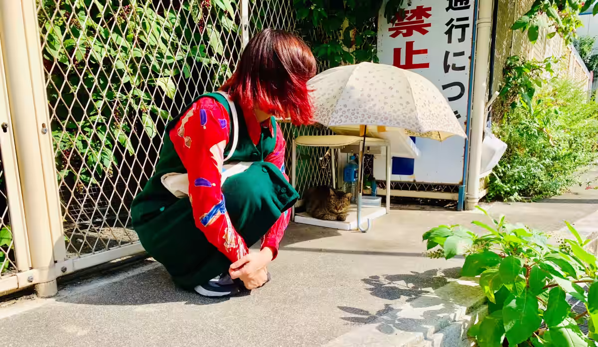 画像7