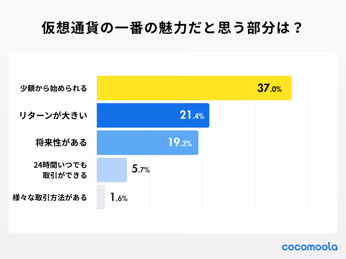 画像11