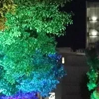 福岡大イルミネーション