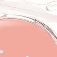 LIIMOBER新チーク登場