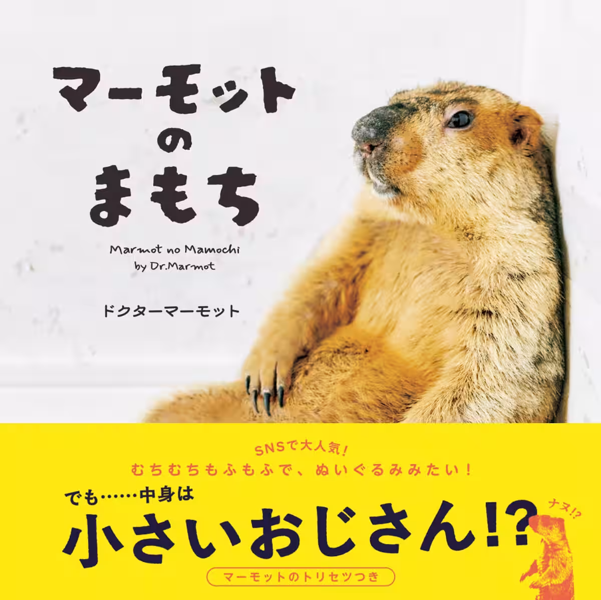 画像10