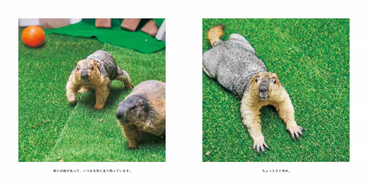 画像11