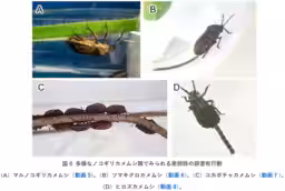 画像7