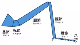 画像8