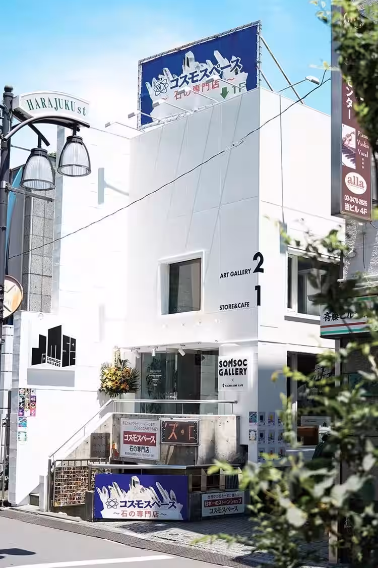 画像8