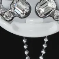 ループとスワロフスキー