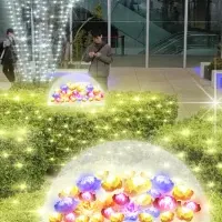 天空のイルミネーション