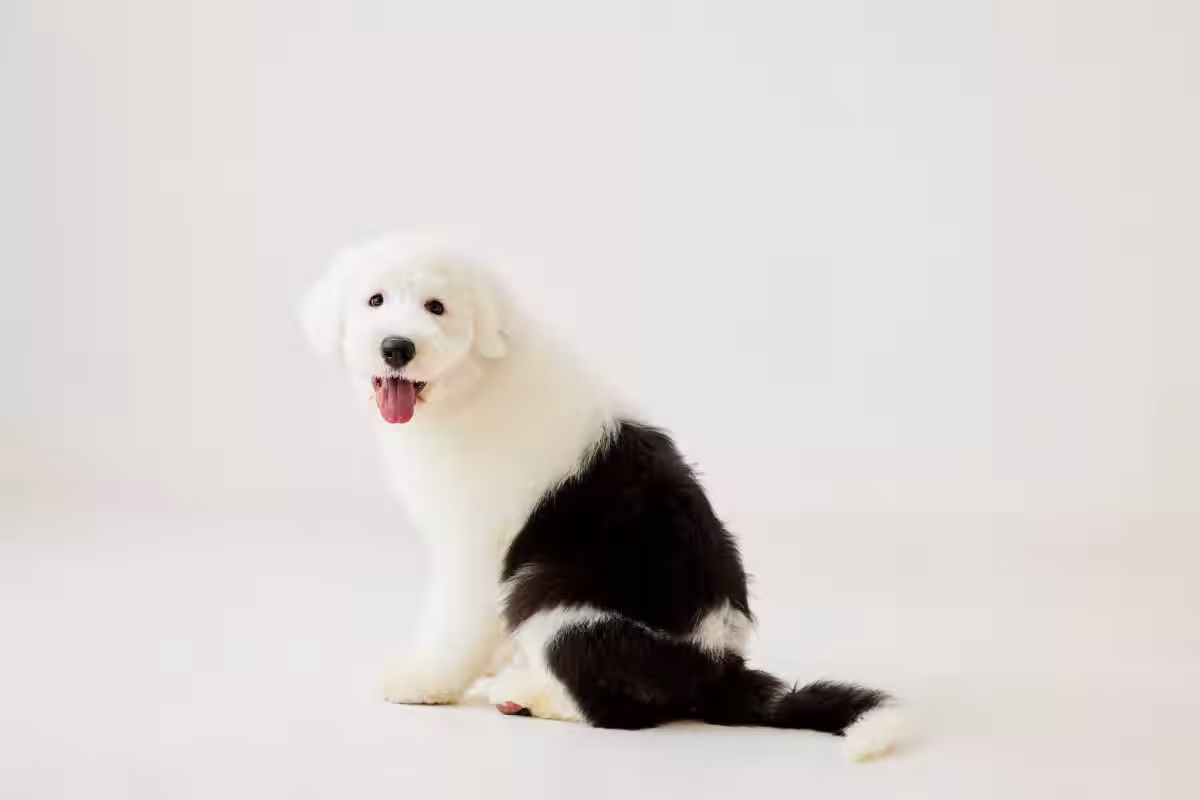 画像6
