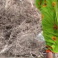 貧困と気候危機