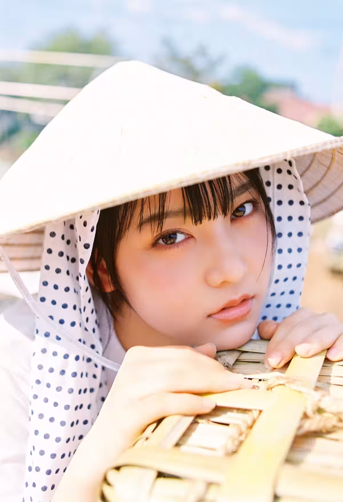 画像12