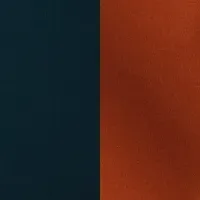 RADWIMPSの学び