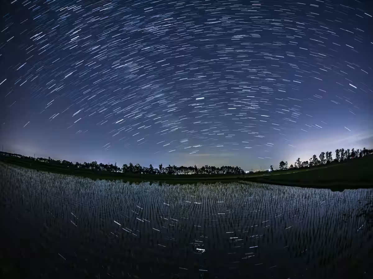 画像13