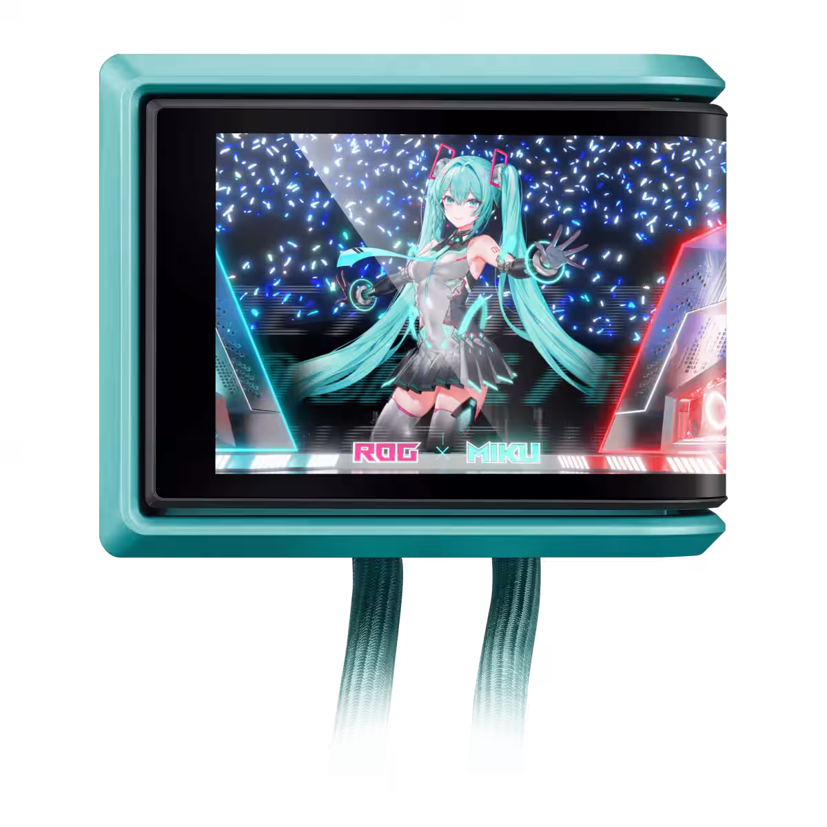 画像7
