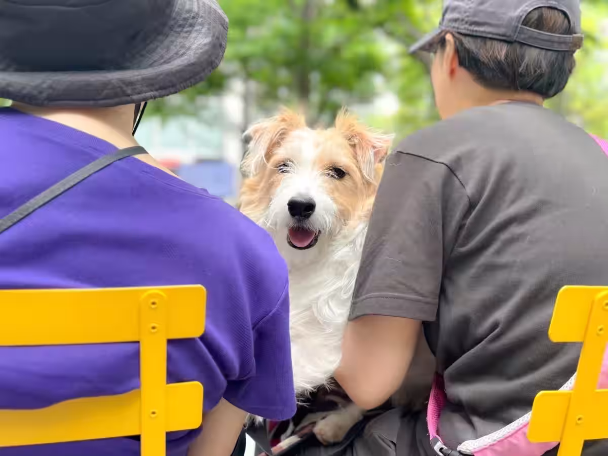 画像8