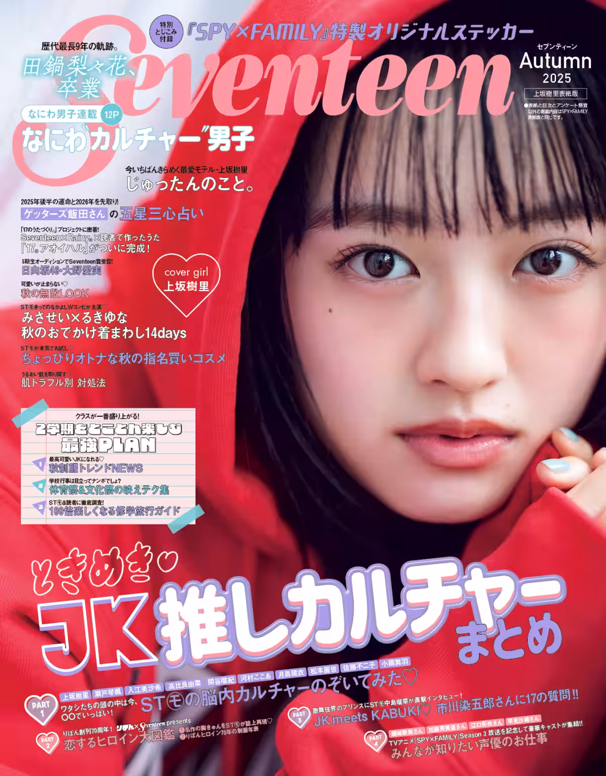 画像8