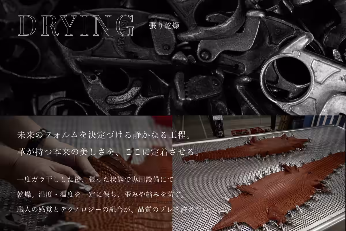 画像19