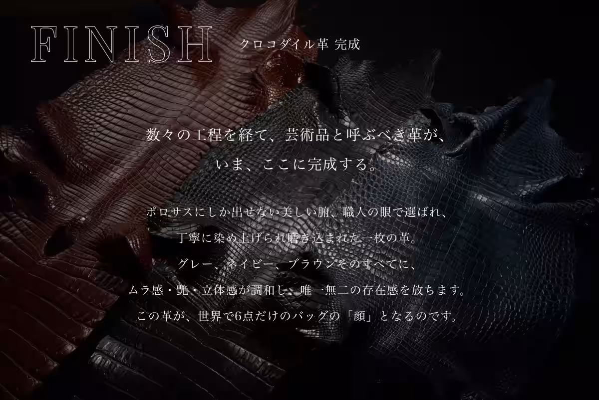 画像28
