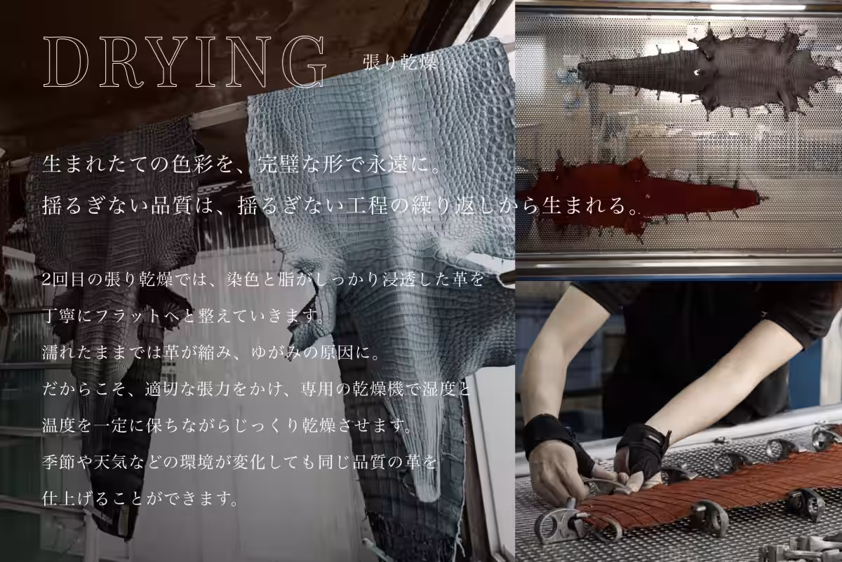 画像22