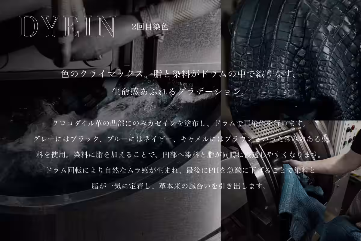 画像21